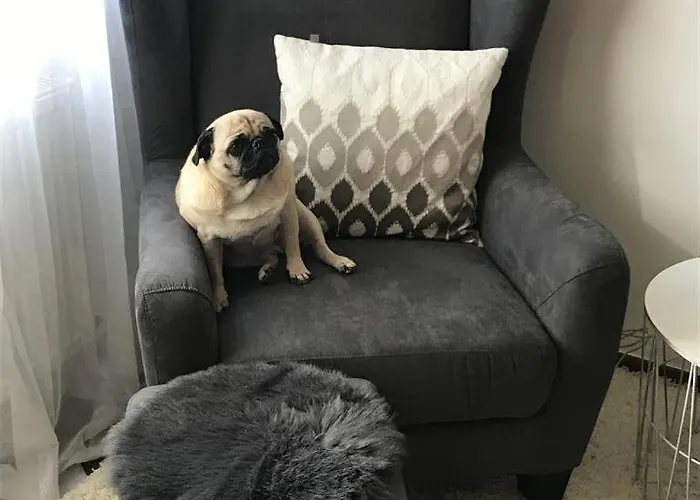 Haus Silvia Apartament Mehring (Rhineland-Palatinate)